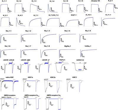 Apamin structure and pharmacology revisited